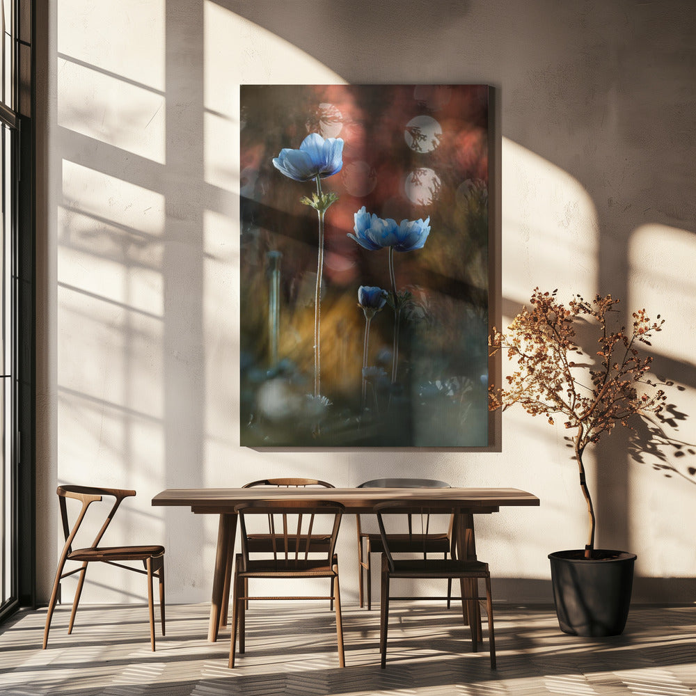 A riot of colors in a grey and dreary world | Canvas