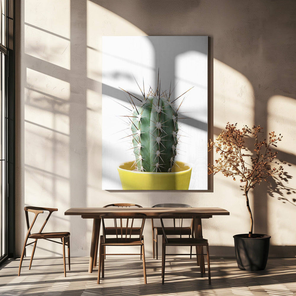 Spikey Cactus | Canvas