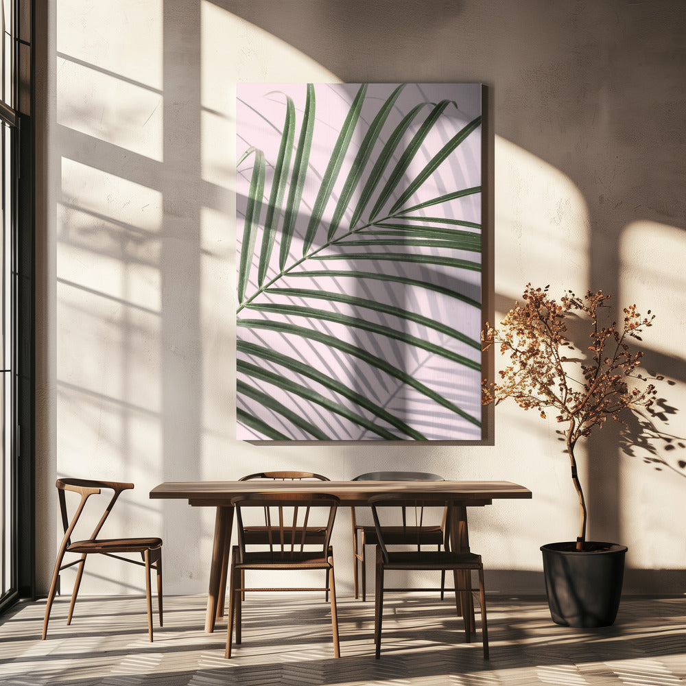 Palm Leaf Shadow | Canvas