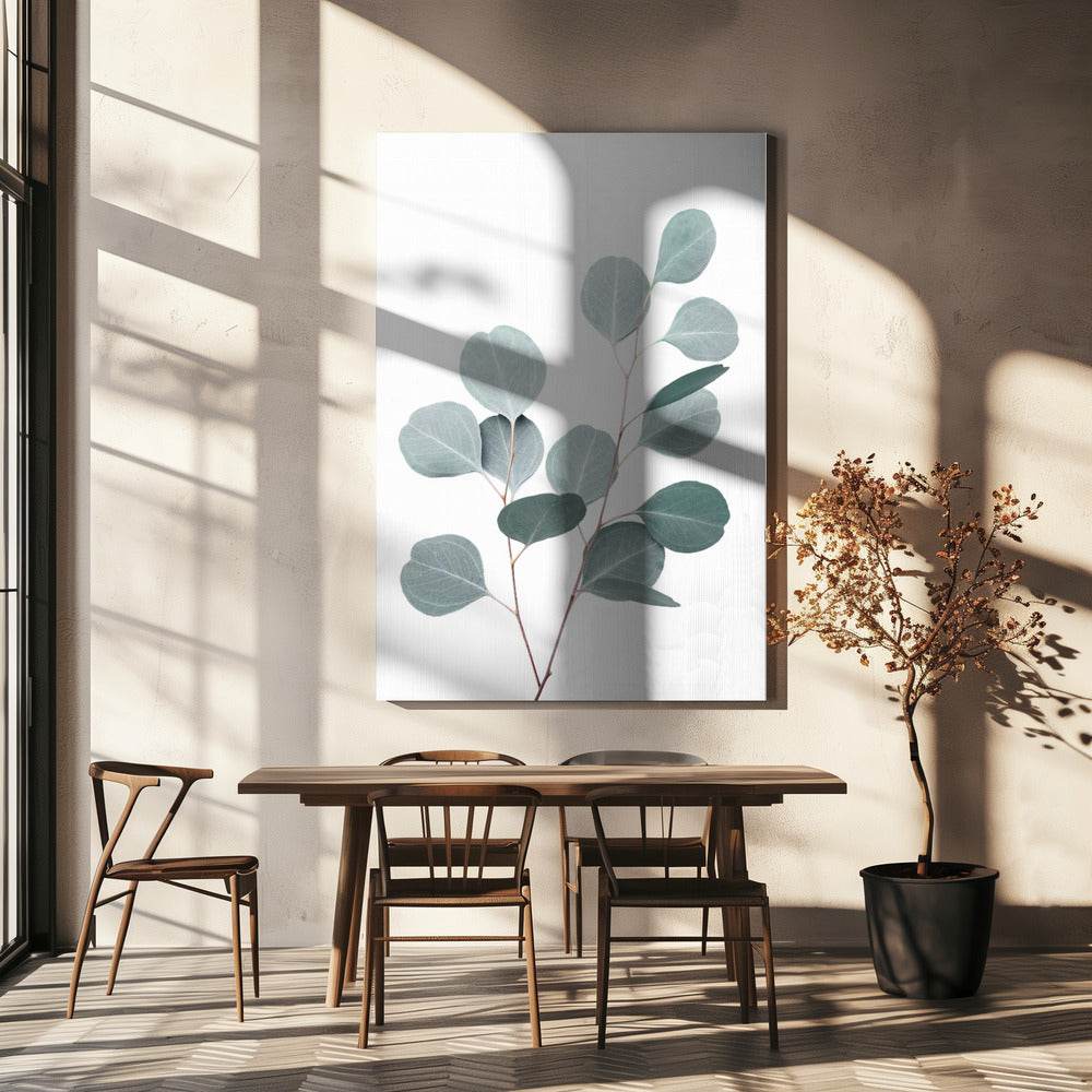 Silverdollar | Canvas