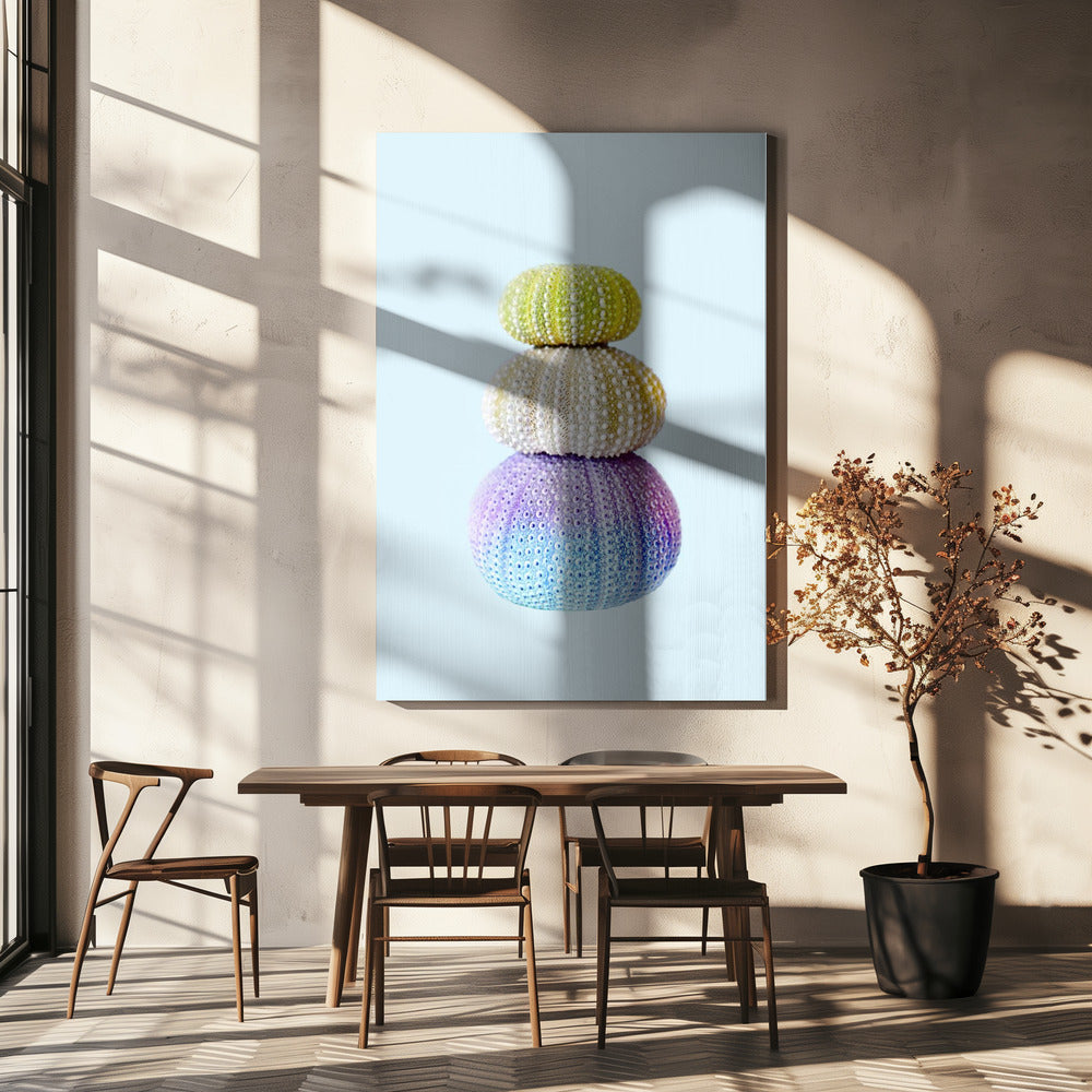 Sea Urchins | Canvas