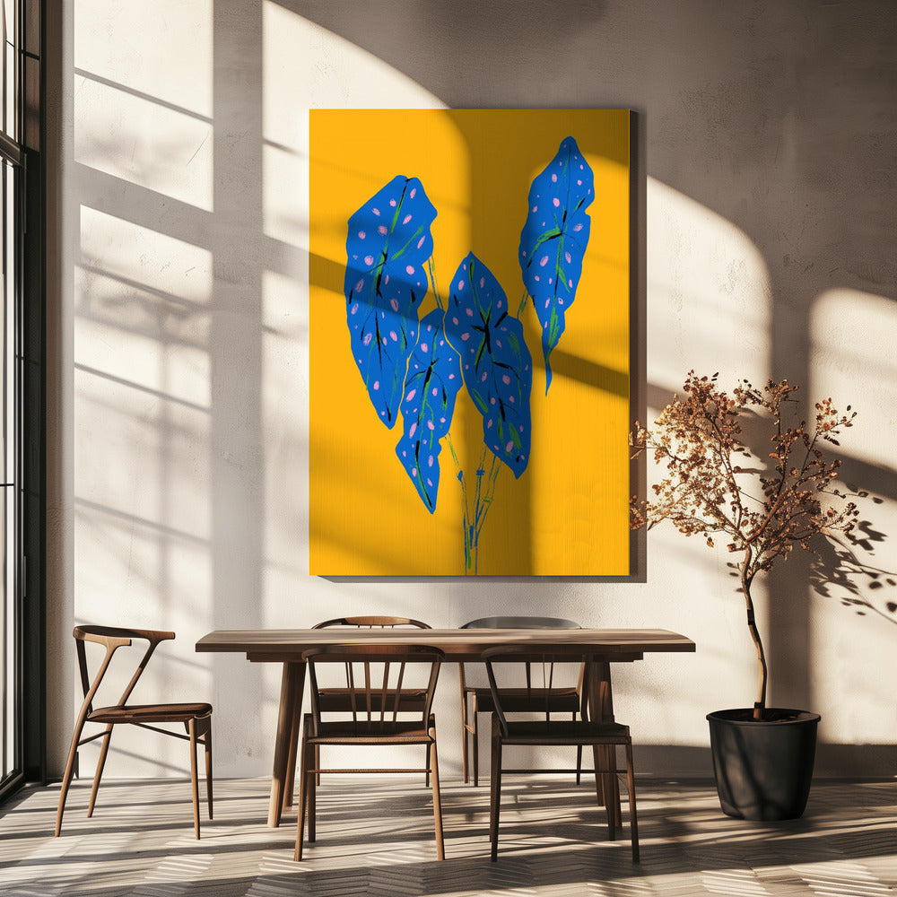 Begonia Maculata Blue and Yellow | Canvas