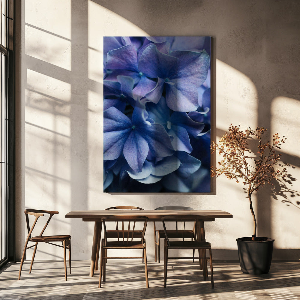 Vibrant Purple Hydrangea Flowers | Canvas