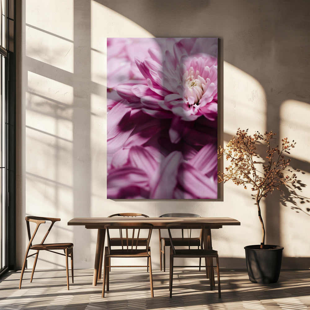 Pink Petal Symphony | Canvas