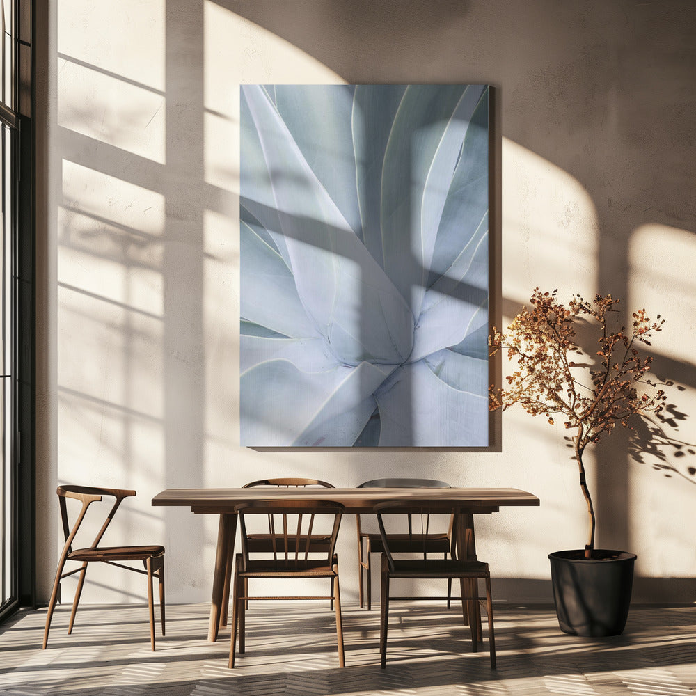 Silvery Succulent | Canvas