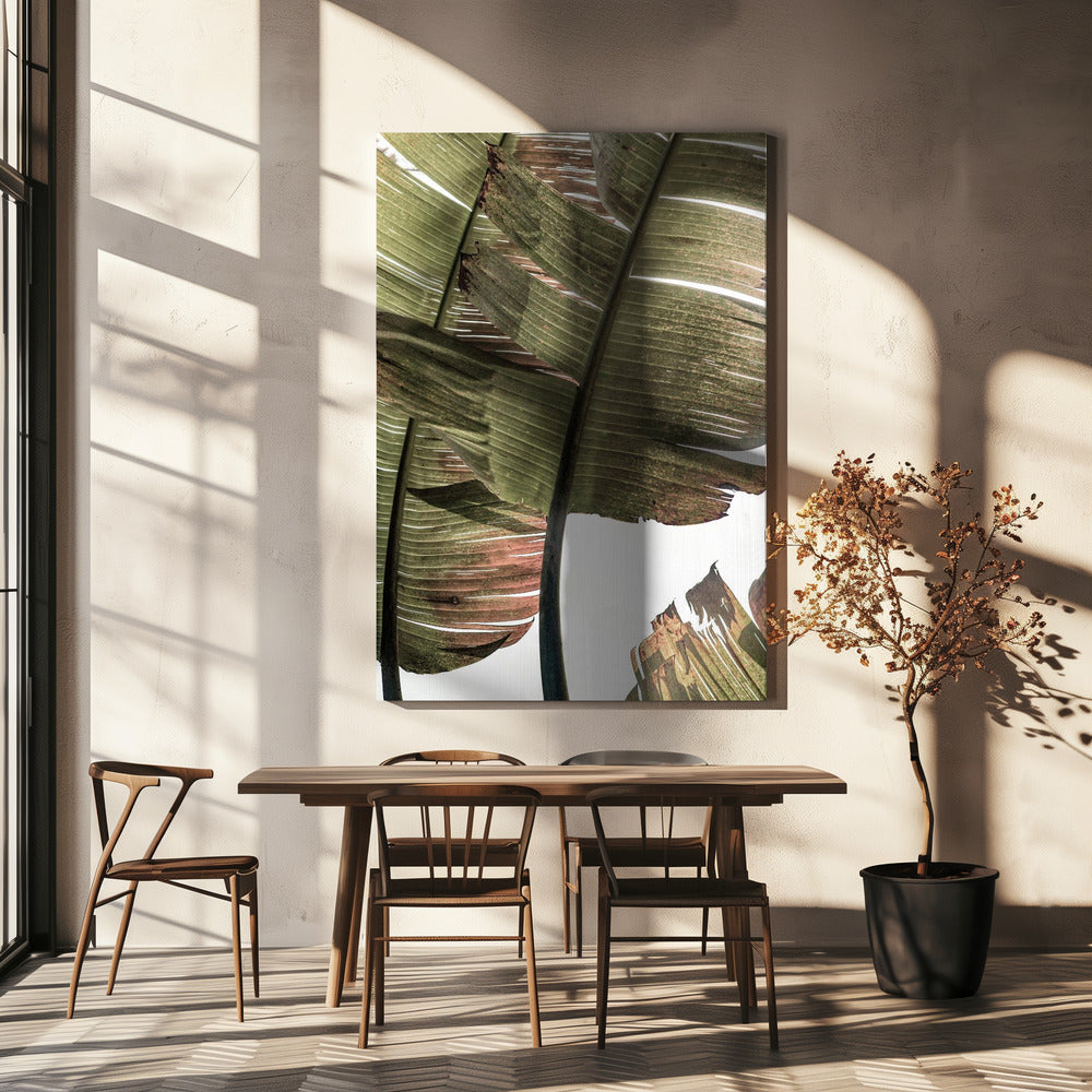 Tropical Serenity | Canvas