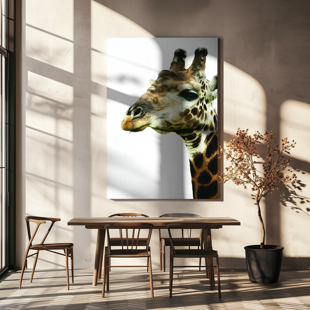 Giraffe&#039;s Graceful Gaze | Canvas