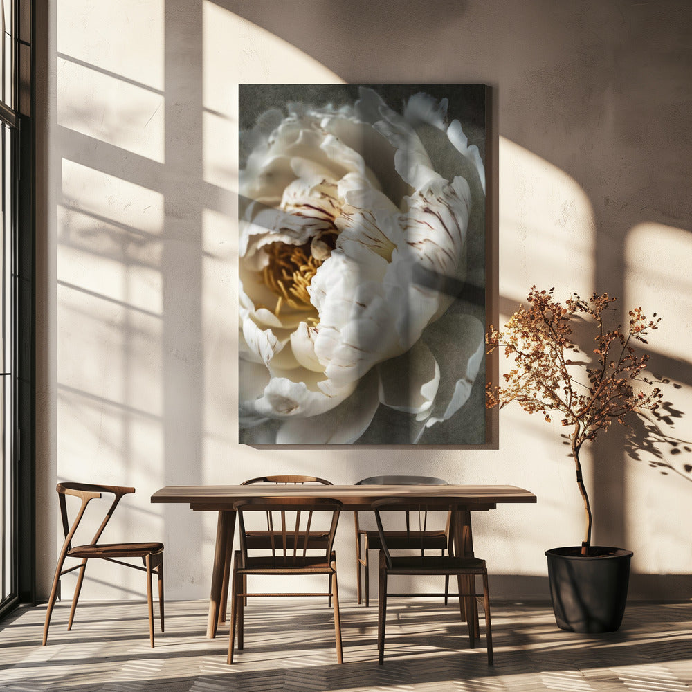 Petals of Serenity | Canvas