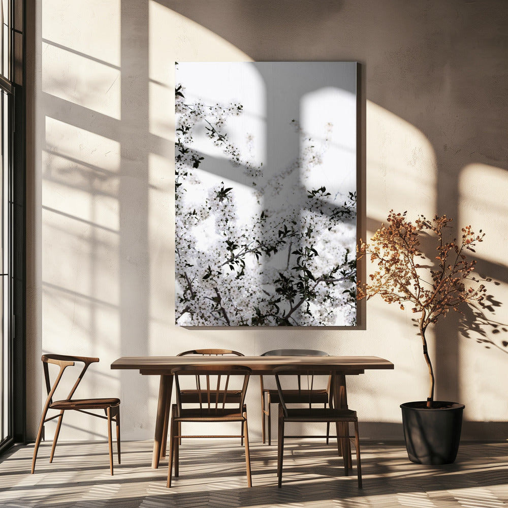 White Spring Tree 3 | Canvas