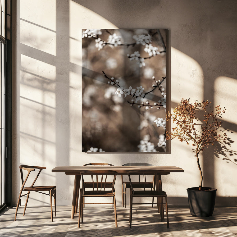 Last Spring 1 | Canvas