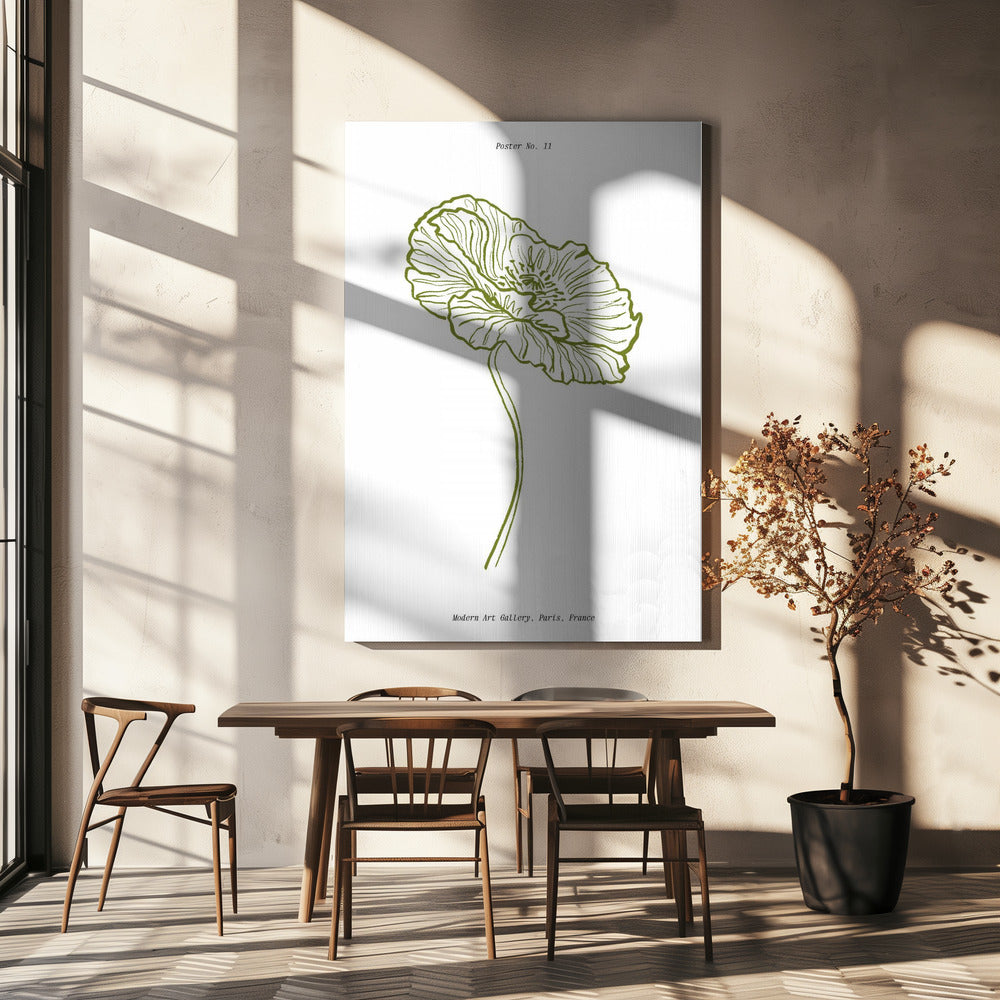 Pale Poppy Sketch | Canvas