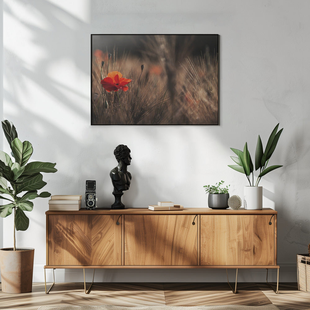 Poppy with corn | Poster
