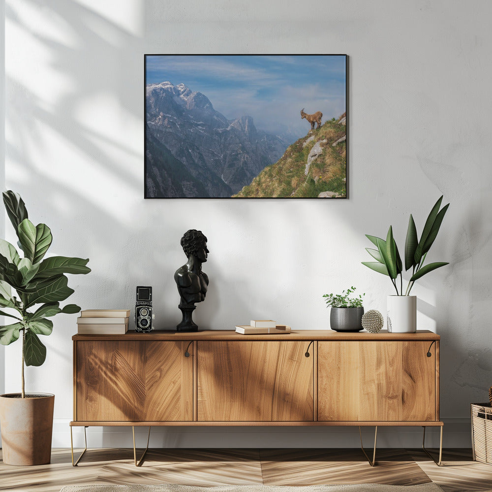 Alpine Ibex in the mountains | Poster