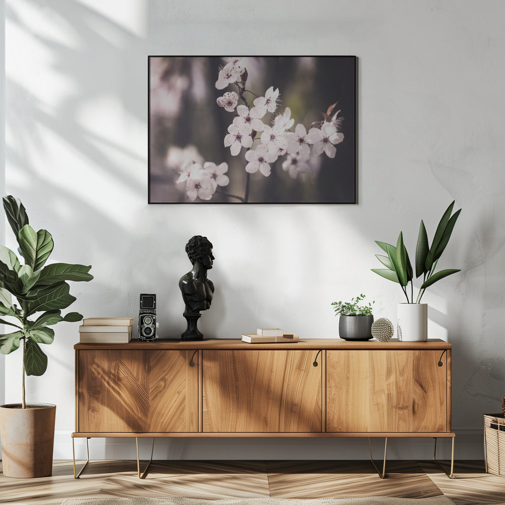 Blossoms | Poster