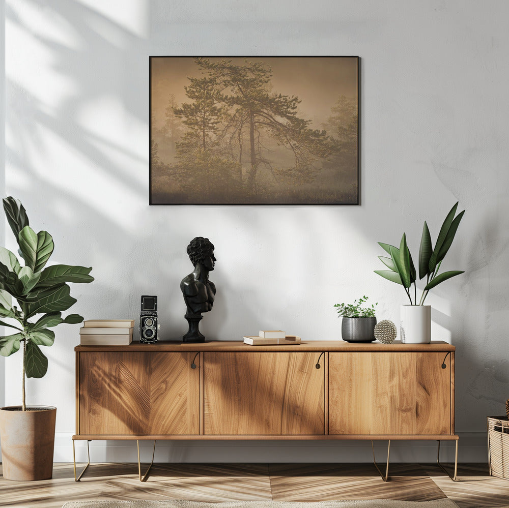 20220809  Dsf8003 1 | Poster