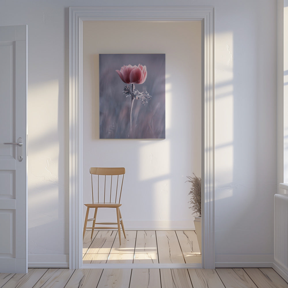 Pink ! So What ? | Canvas