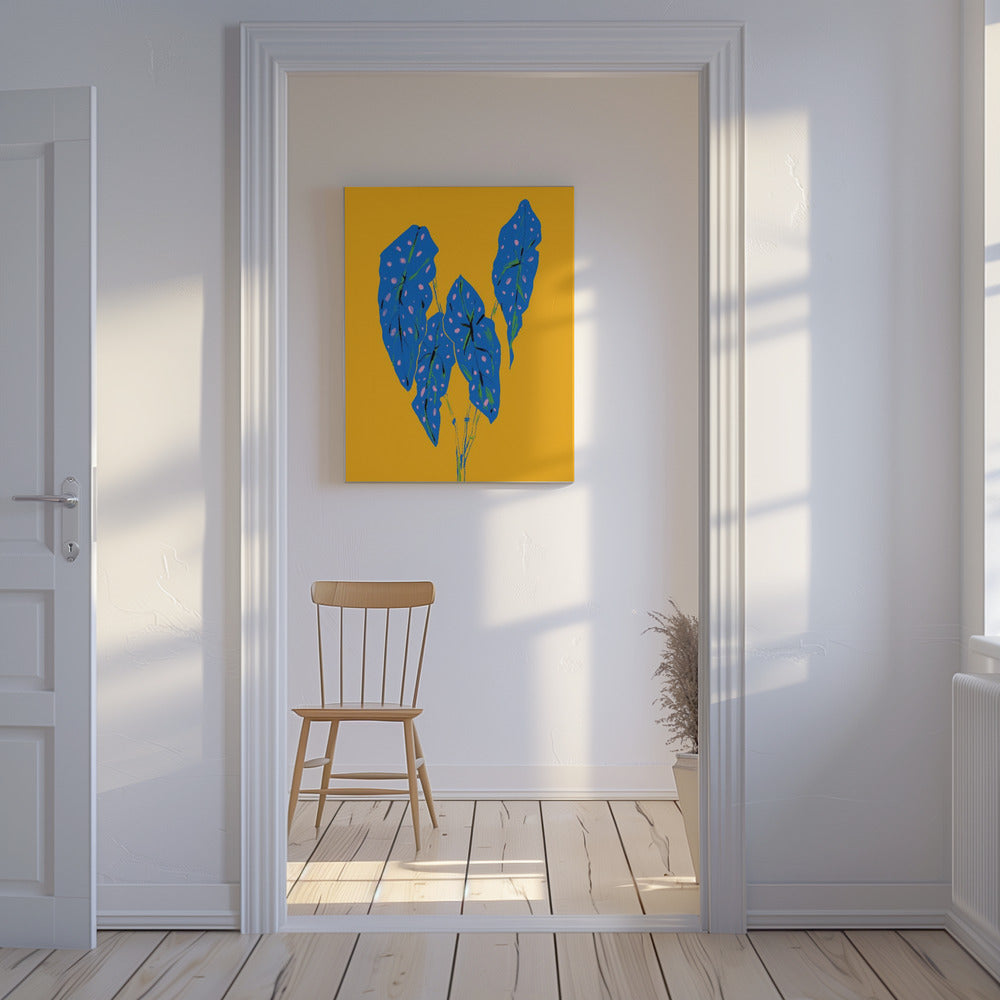 Begonia Maculata Blue and Yellow | Canvas