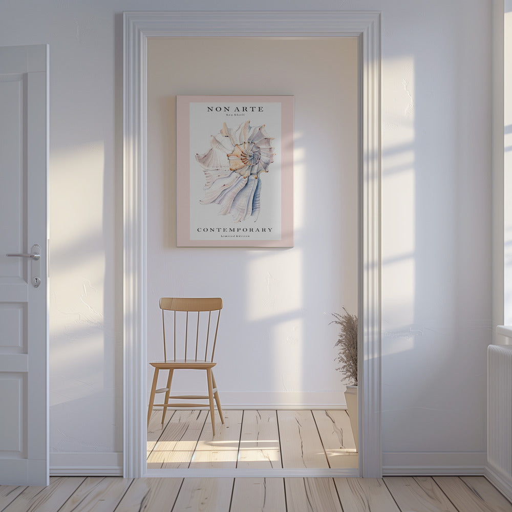 Non Arte Sea Shell no.1 | Canvas
