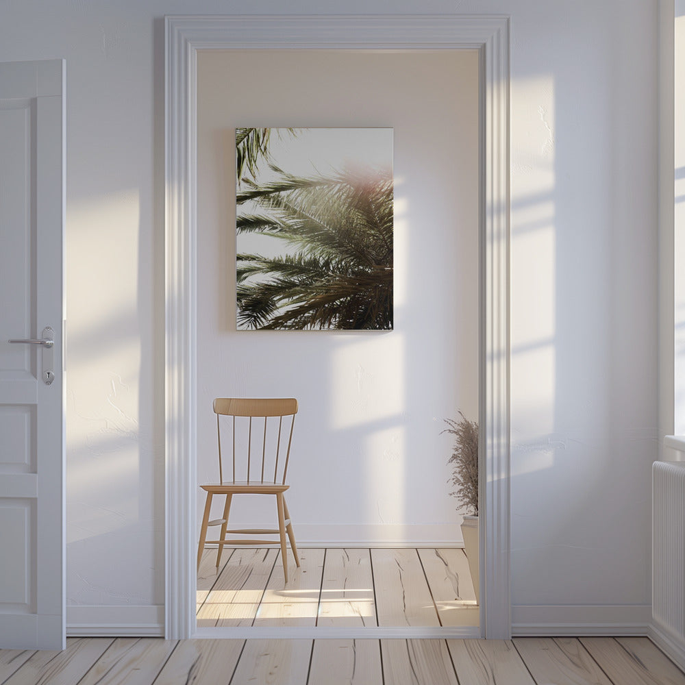 Sunlit Palm Dream | Canvas