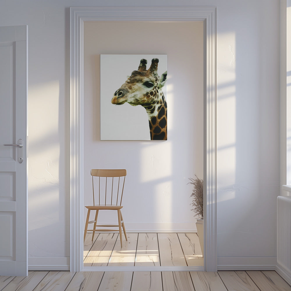 Giraffe&#039;s Graceful Gaze | Canvas