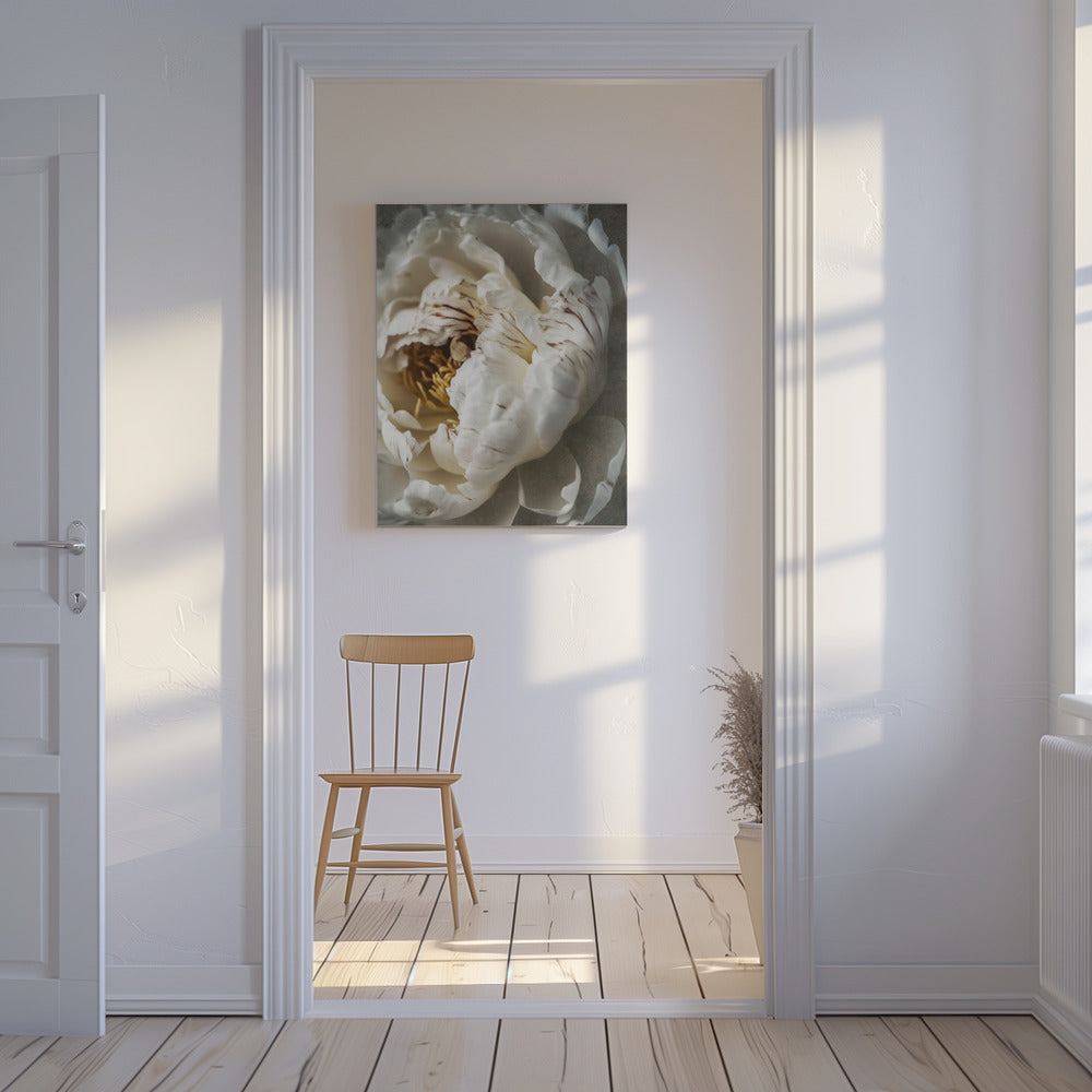 Petals of Serenity | Canvas