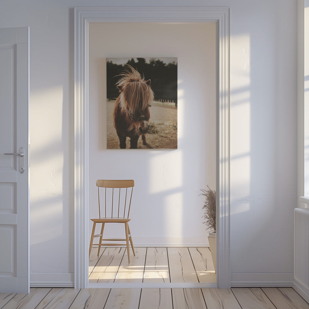Pony with a Shaggy Mane | Canvas
