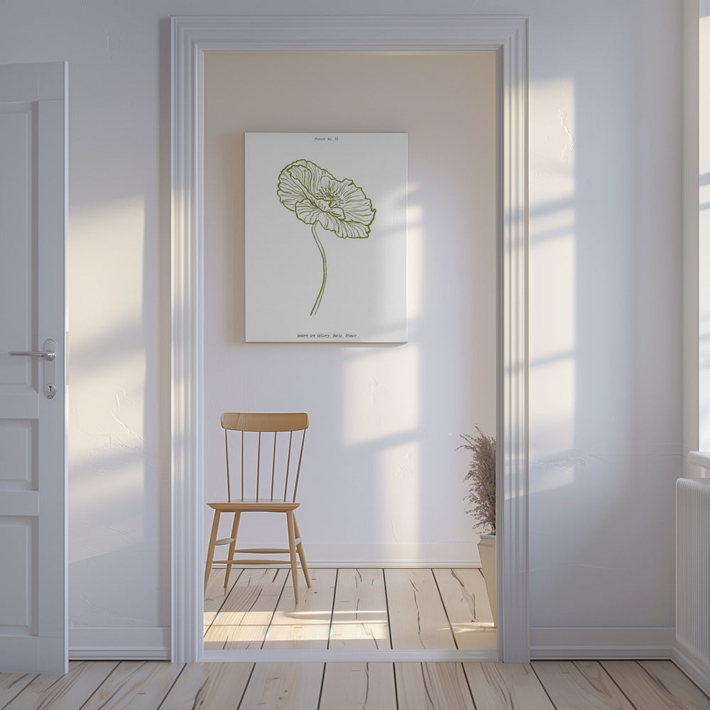 Pale Poppy Sketch | Canvas