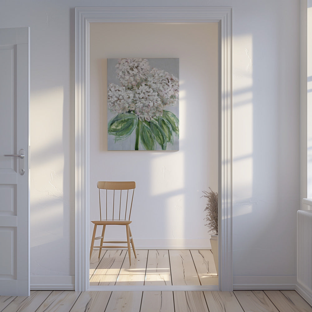White Hydrangea Bloom | Canvas