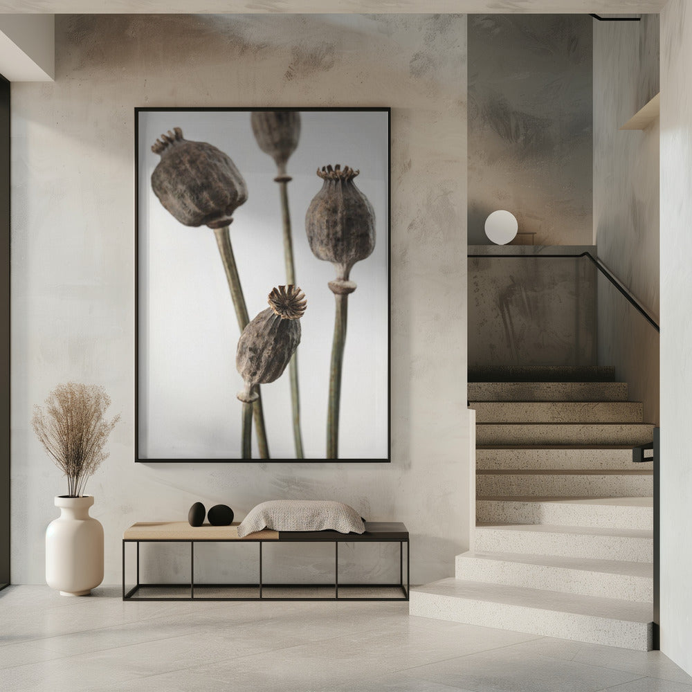 Dried_006 | Poster