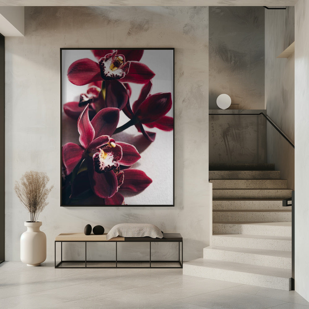 Red Orchids with Delicate Petals | Poster