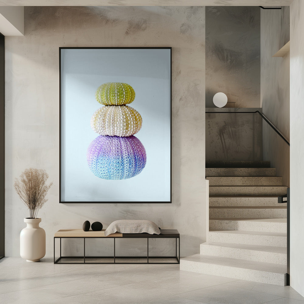 Sea Urchins | Poster
