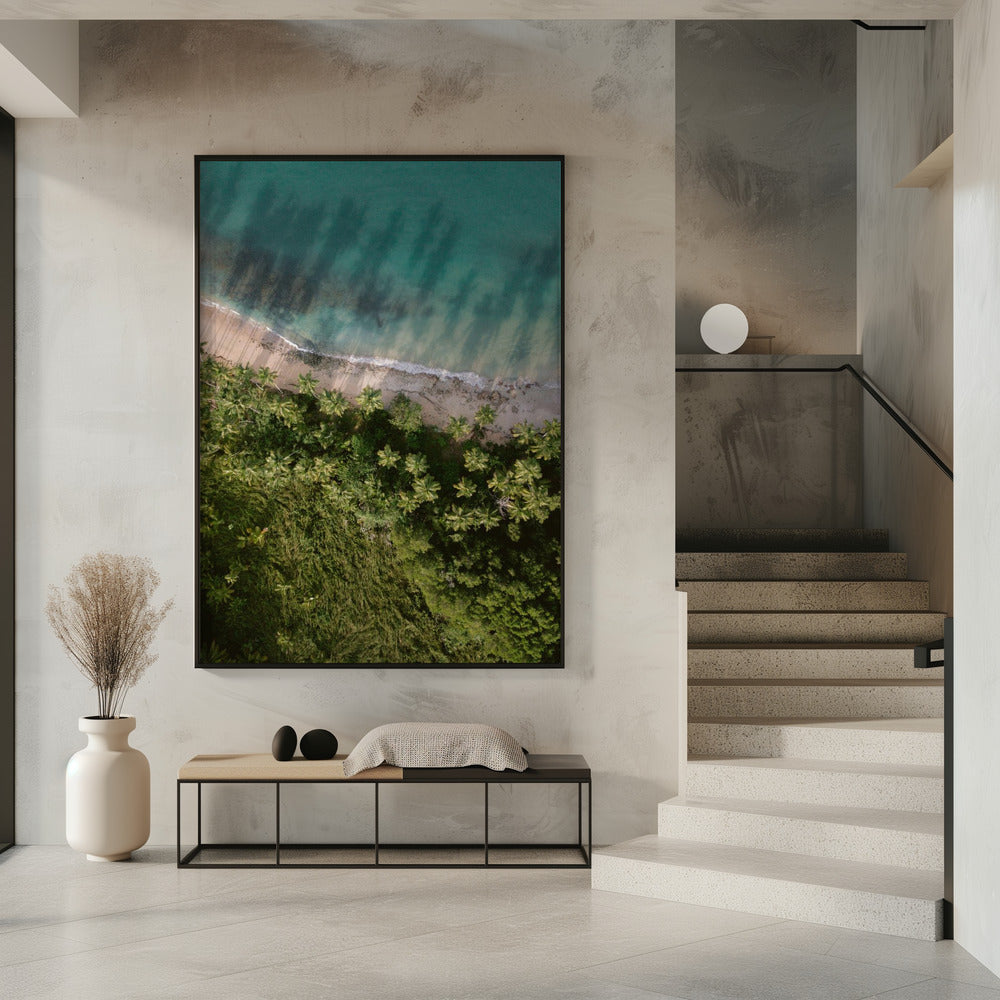Palm Beach from Above | Poster