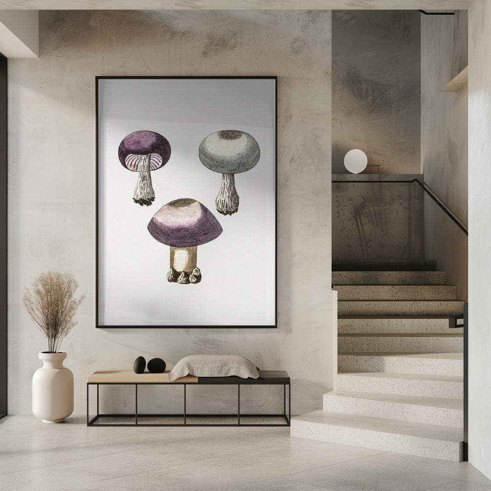 Hand Darwn Violet Webcap Mushroom | Poster