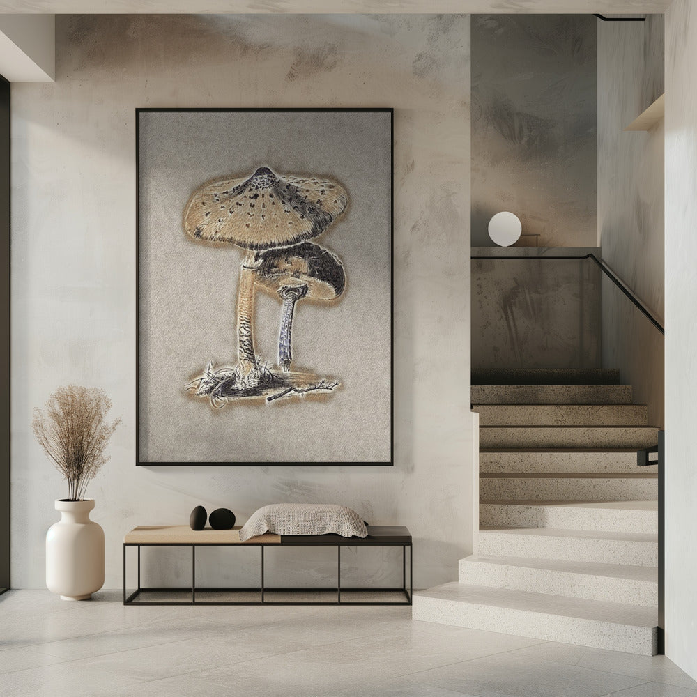 Hand Drawn Parasol Mushroom Brown | Poster