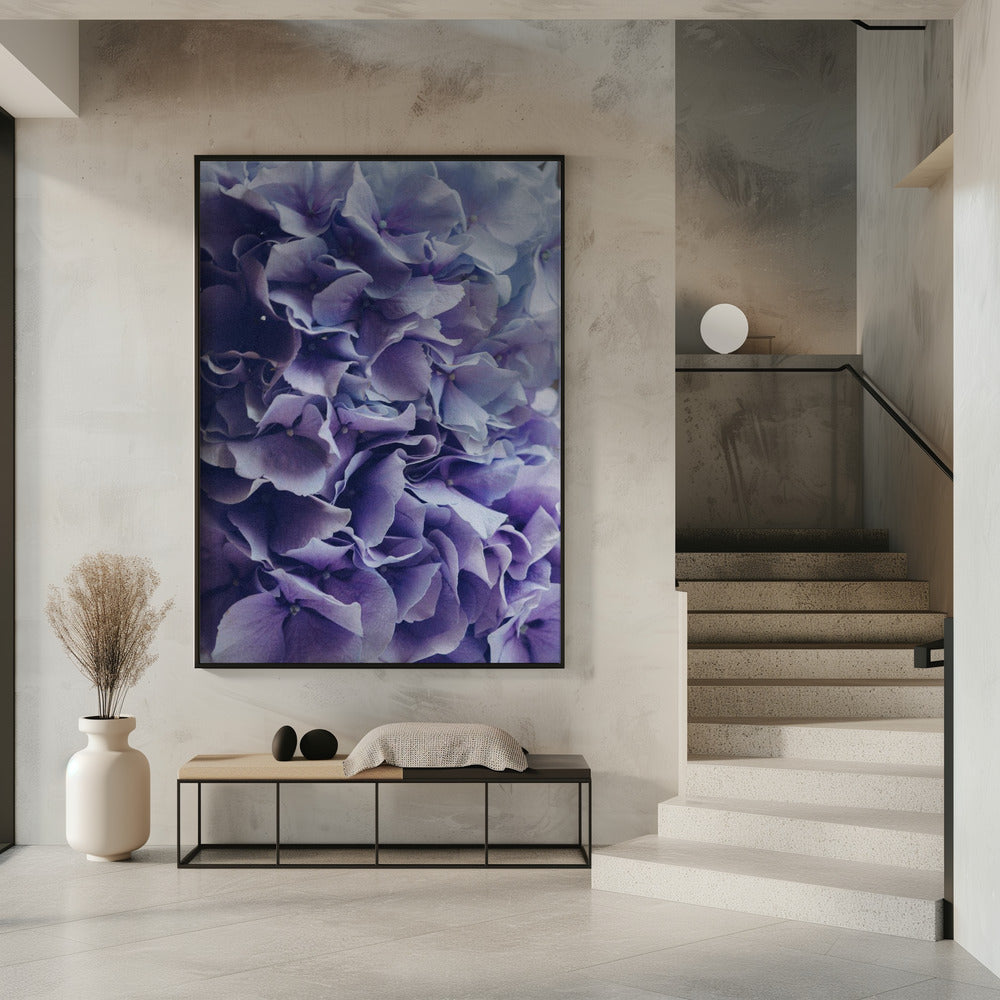 Vibrant Purple Hydrangea Flowers | Poster