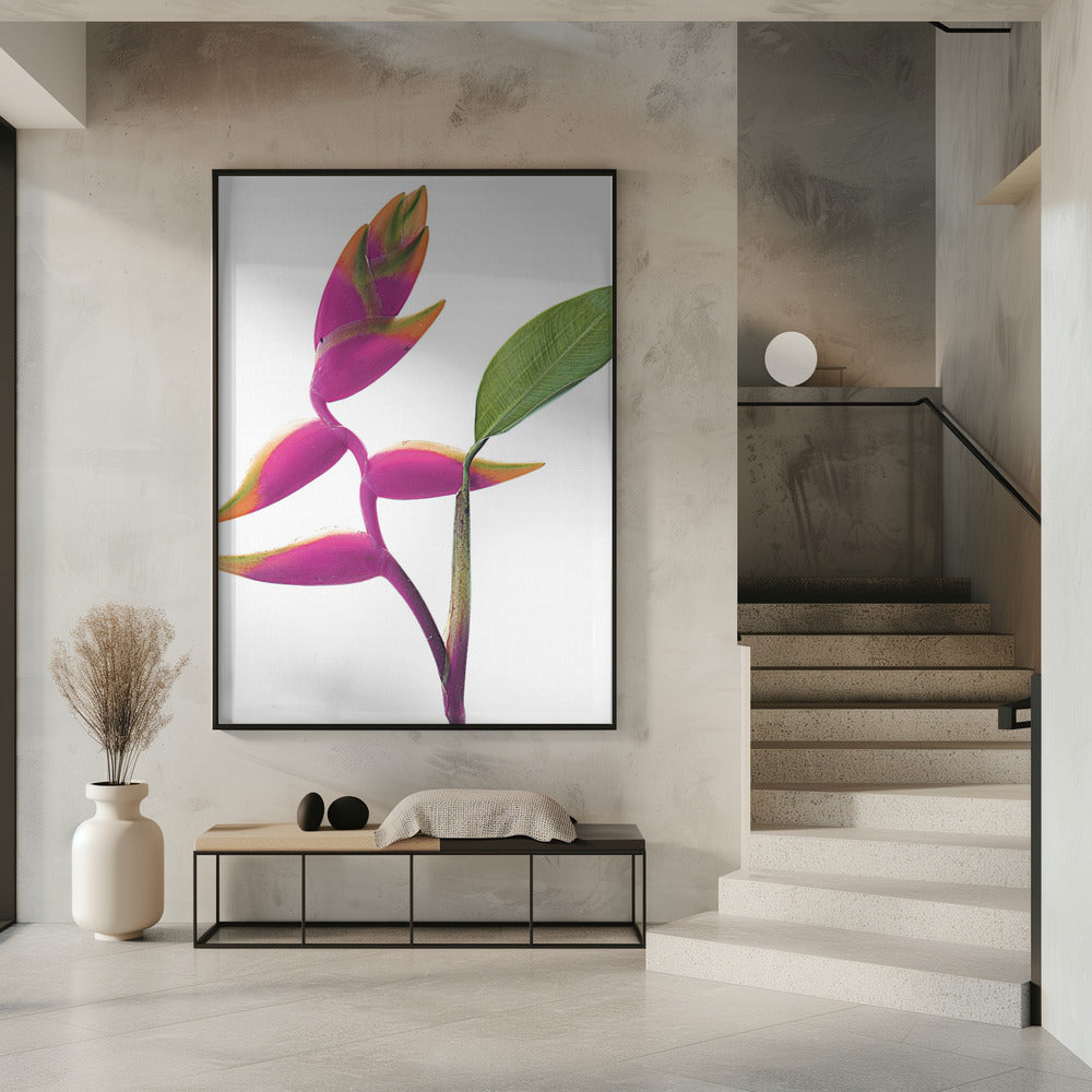 Tropical Elegance | Poster