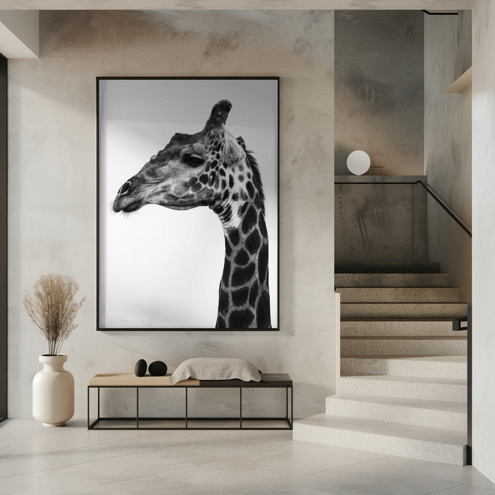 Intricate Patterns Of A Giraffe&#039;s Skin | Poster