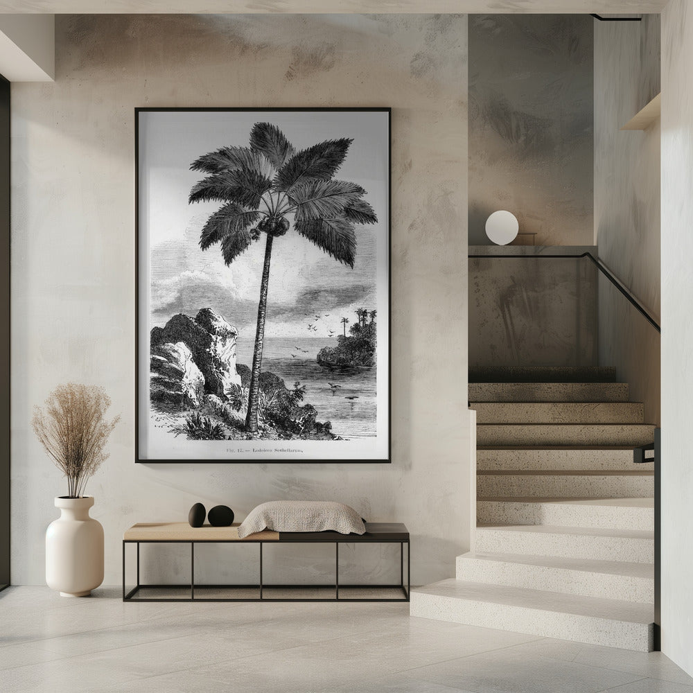 Vintage Palm Tree Drawing I | Poster