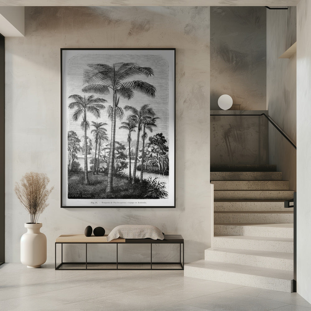 Vintage Palm Tree Drawing Ii | Poster