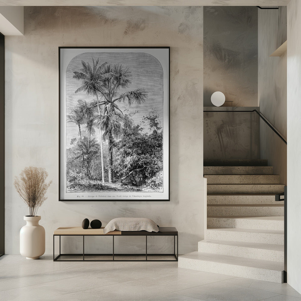Vintage Palm Tree Drawing Iv | Poster