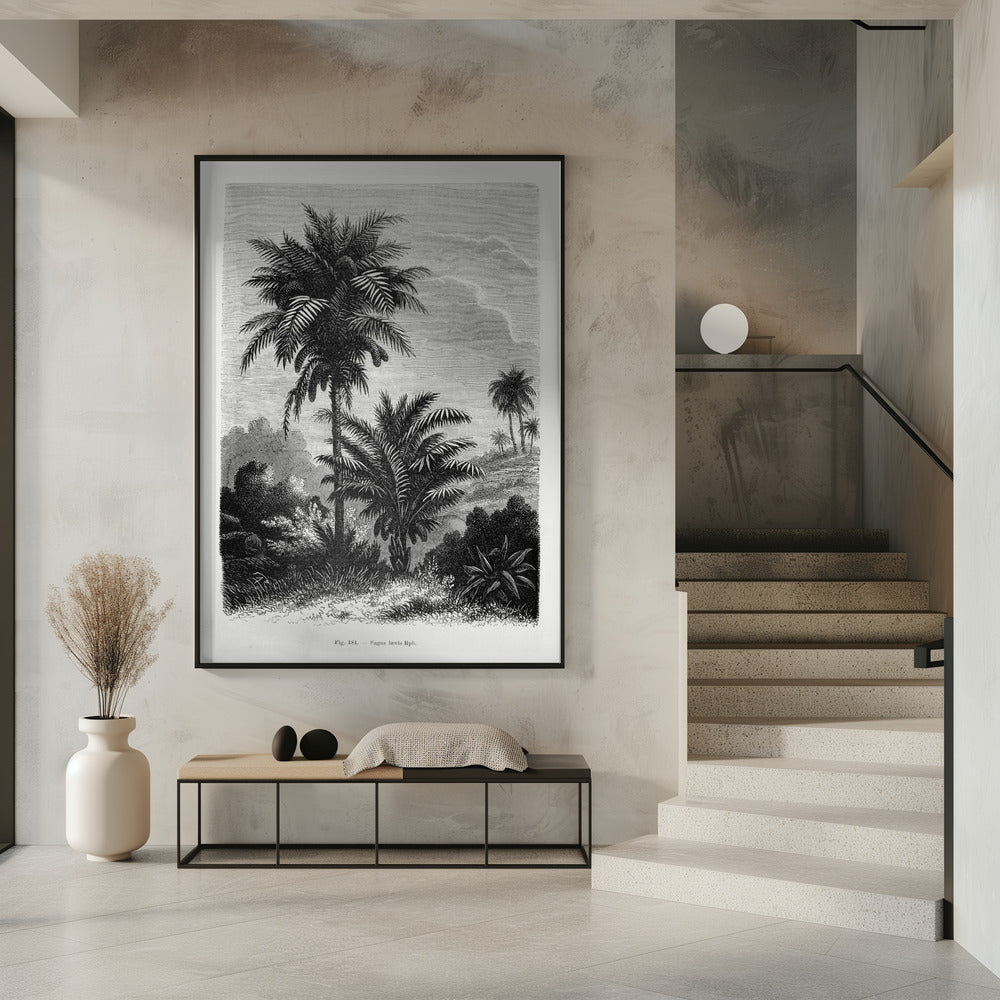 Vintage Palm Tree Drawing V | Poster