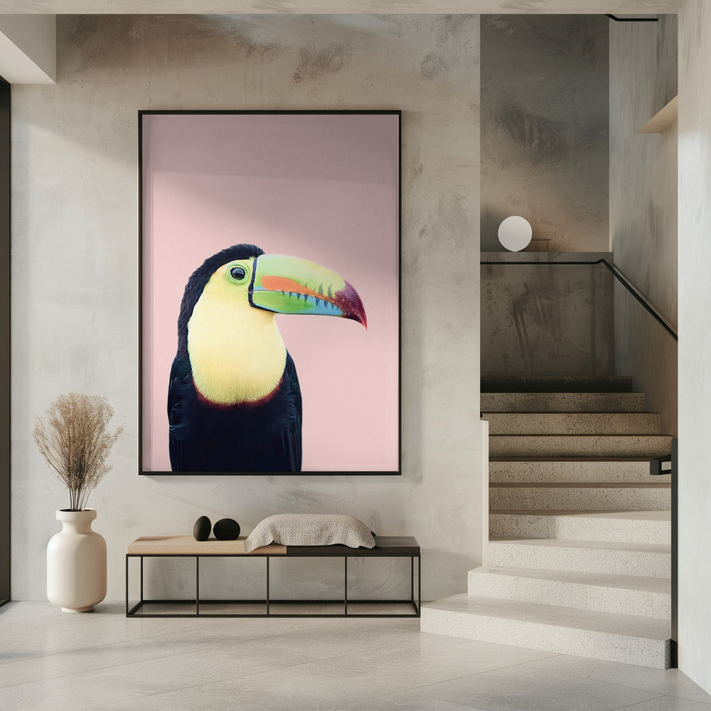 Toucan on Pink | Poster
