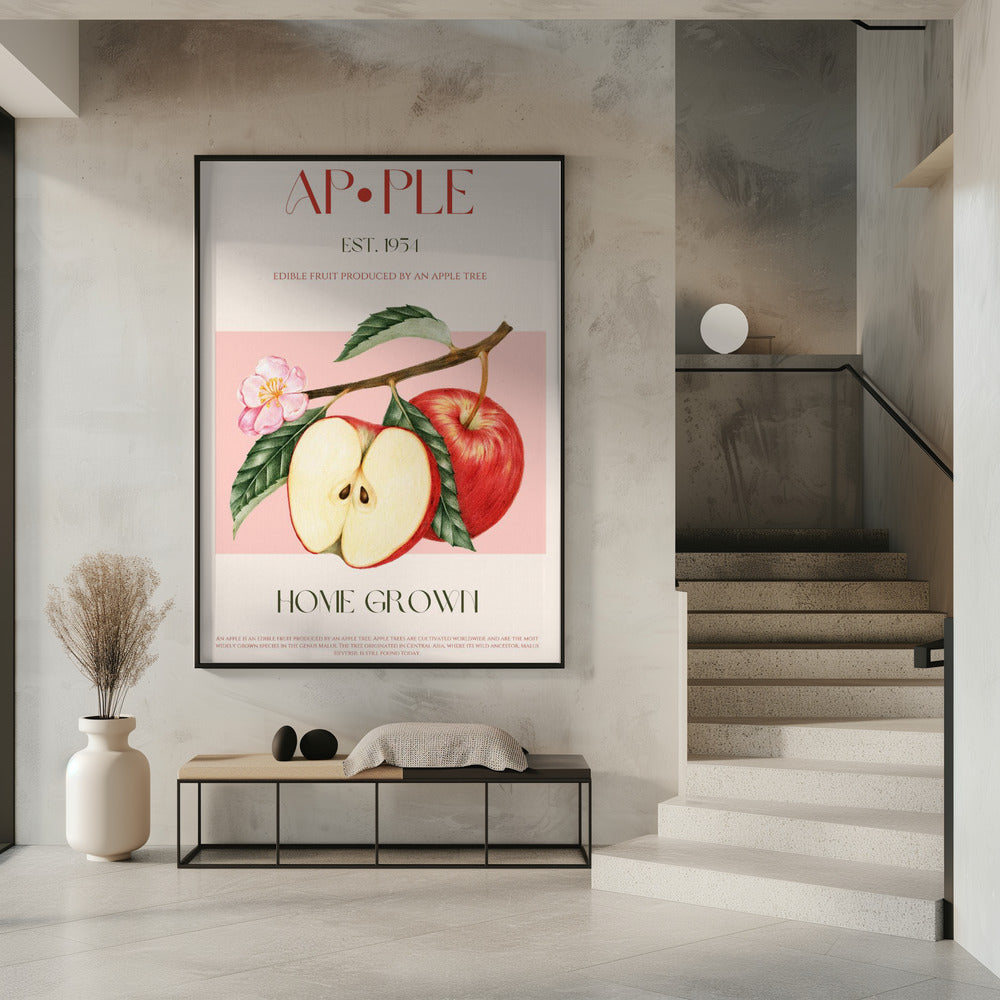 Harvested Apples | Poster