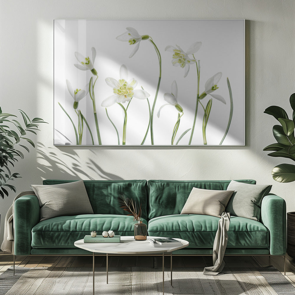 Spring Snowdrops | Canvas
