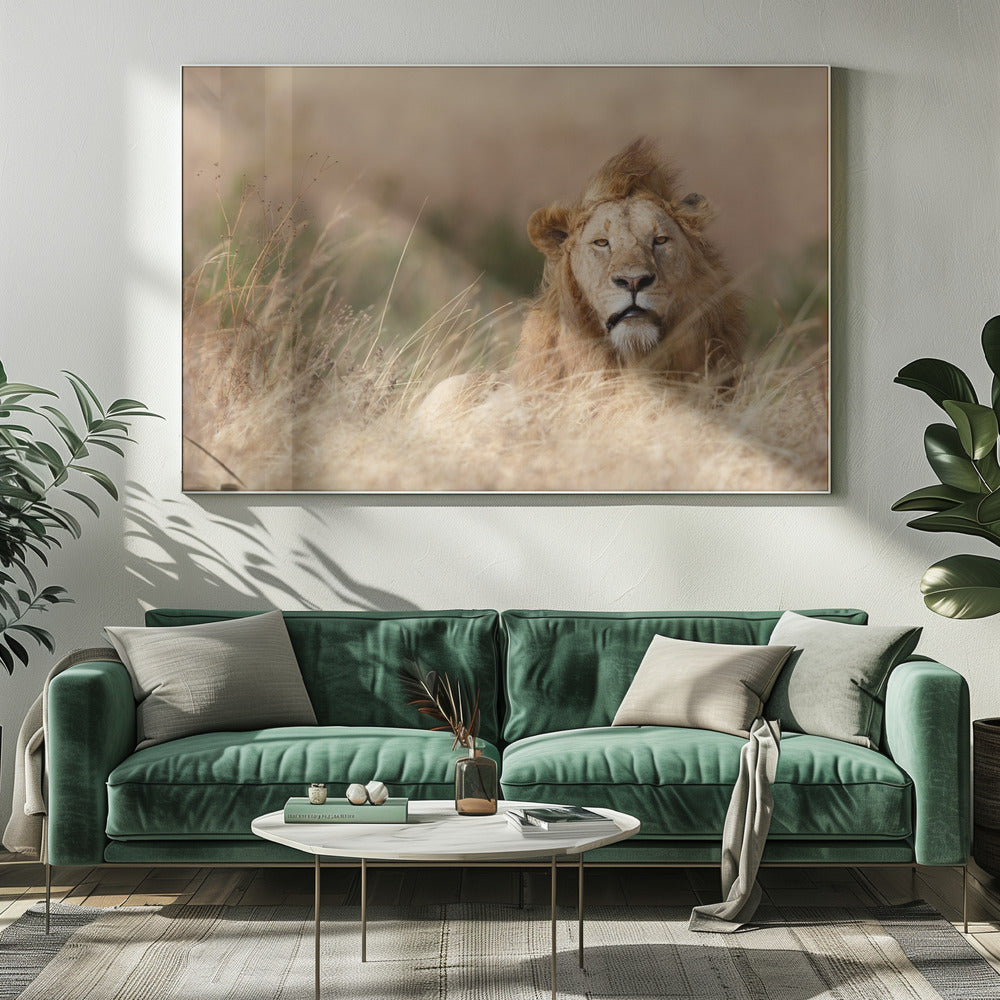 Handsome! | Canvas