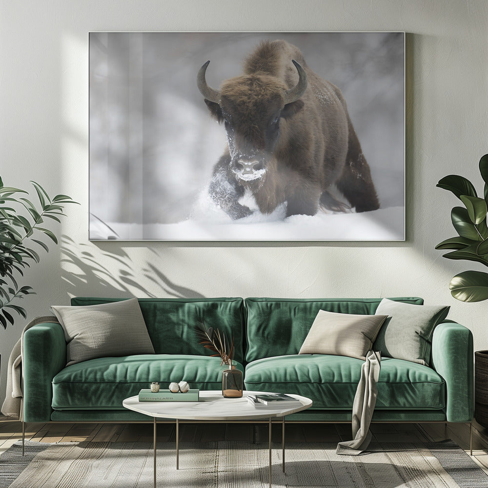 Rewilded | Canvas