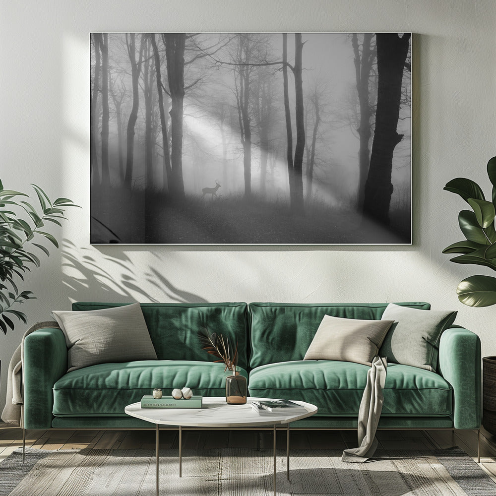 forest | Canvas