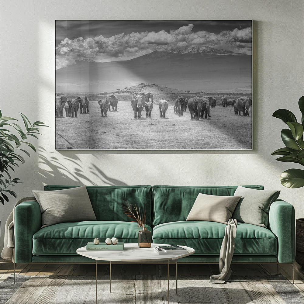 The Titans | Canvas