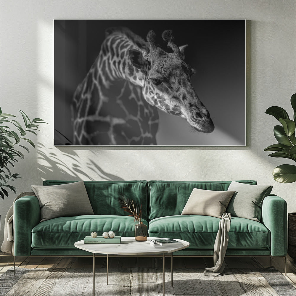 Giraffe | Canvas