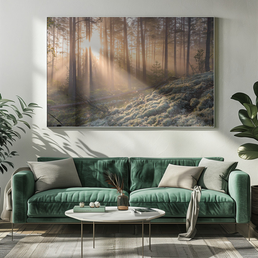 Fog in the forest with white moss in the forground | Canvas